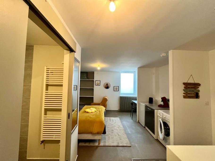 Le Ptit Chez Soi By Lpnl Apartment Rives (Isere)